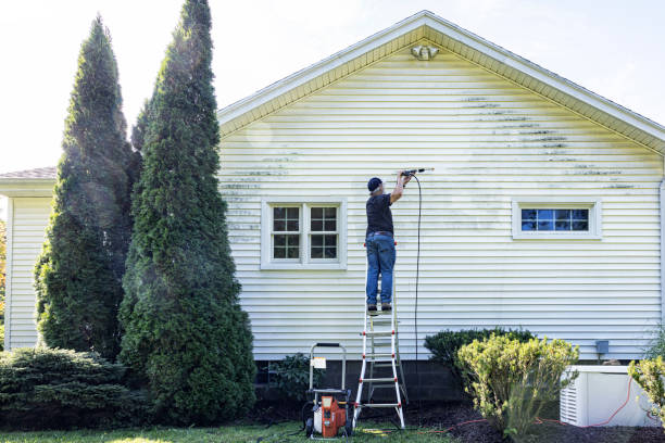 Best Deck Cleaning Services  in College, AK