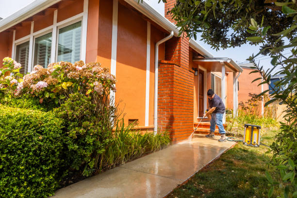 Best Affordable Pressure Washing  in College, AK