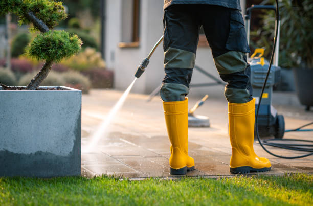 Best Sidewalk Pressure Washing  in College, AK